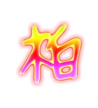 柏 同音字|柏